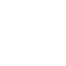 Twitter icon